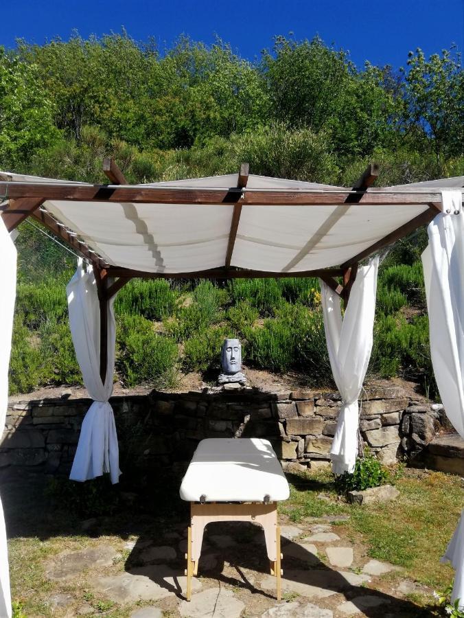 Le Ginestre Guesthouse Ассизи Экстерьер фото