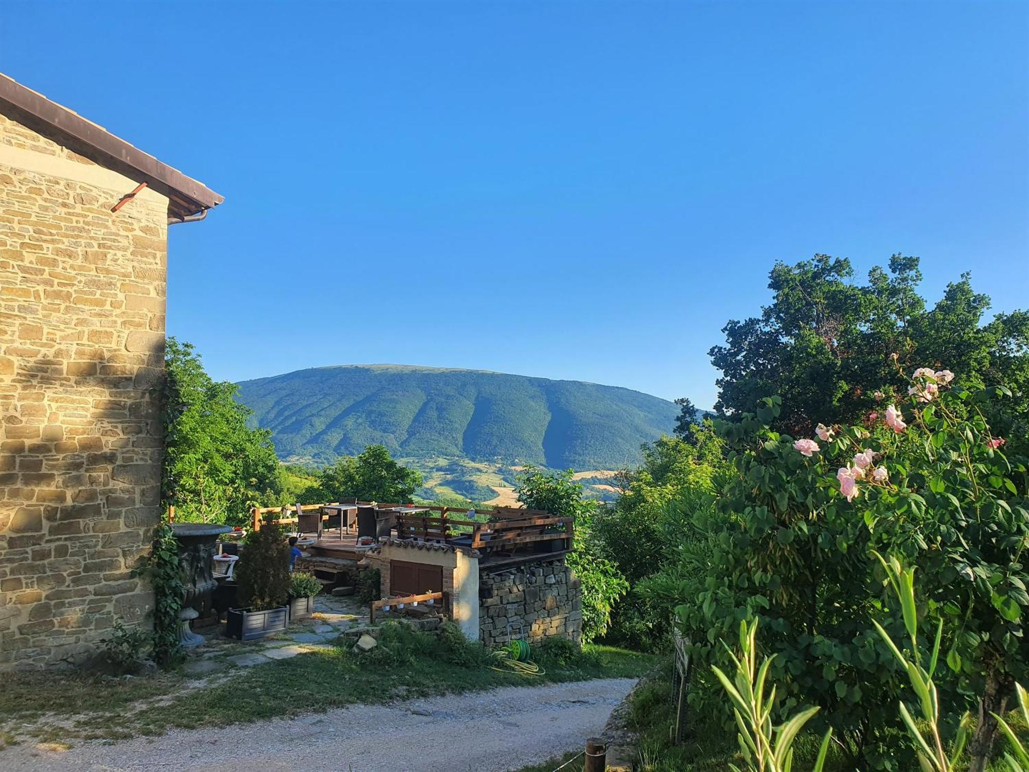 Le Ginestre Guesthouse Ассизи Экстерьер фото